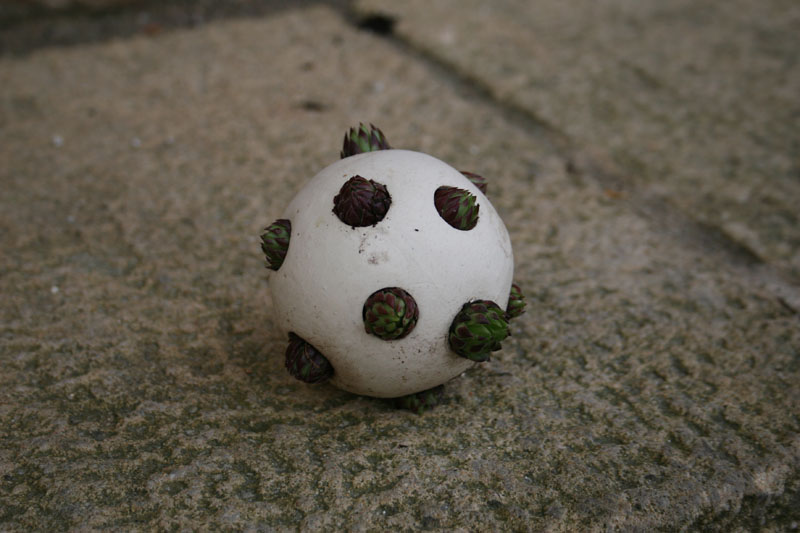 esfera en su primer estado